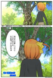 青い薔薇の絆