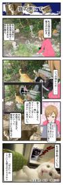 猫の側にて