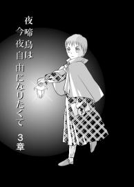 夜の歌２　夜啼鳥は今夜自由になりたくて３話